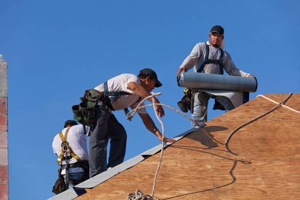 Best Commercial Roof Installation  in Limestone Creek, FL