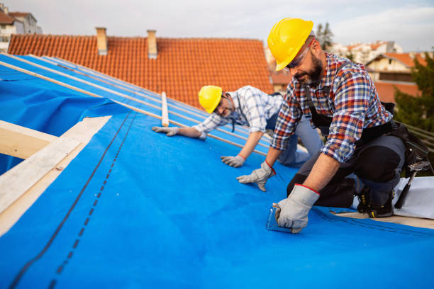 Best Commercial Roofing Services  in Limestone Creek, FL