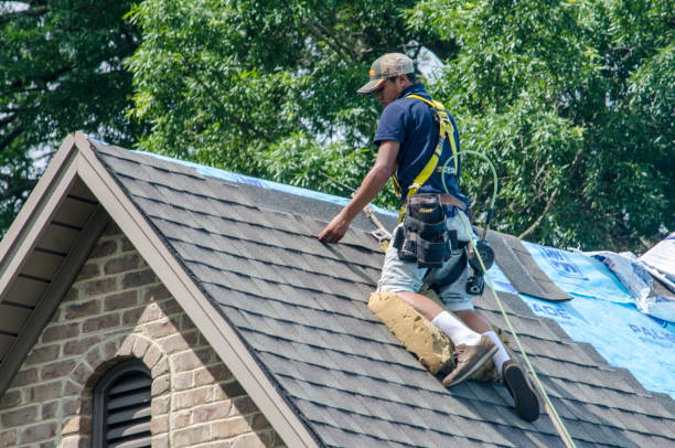 Gutter Installation and Roofing in Limestone Creek, FL